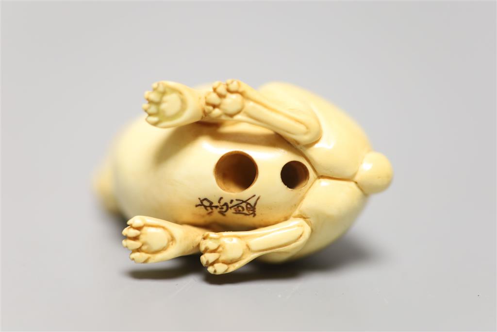 A Japanese ivory netsuke of a rabbit, late 19th /early 20th century, height 3.5cm